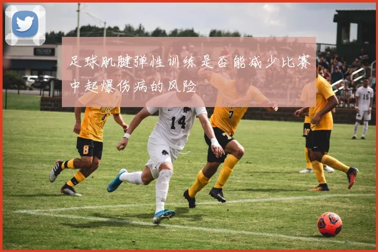 足球肌腱弹性训练是否能减少比赛中起爆伤病的风险