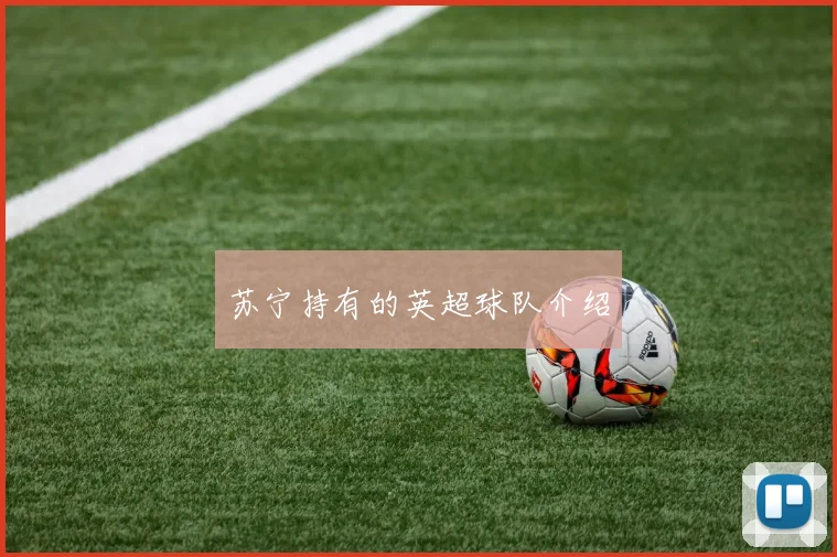 苏宁持有的英超球队介绍