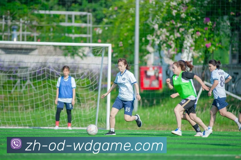 问鼎娱乐平台生态图